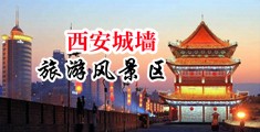 午夜亚洲乱片中国陕西-西安城墙旅游风景区